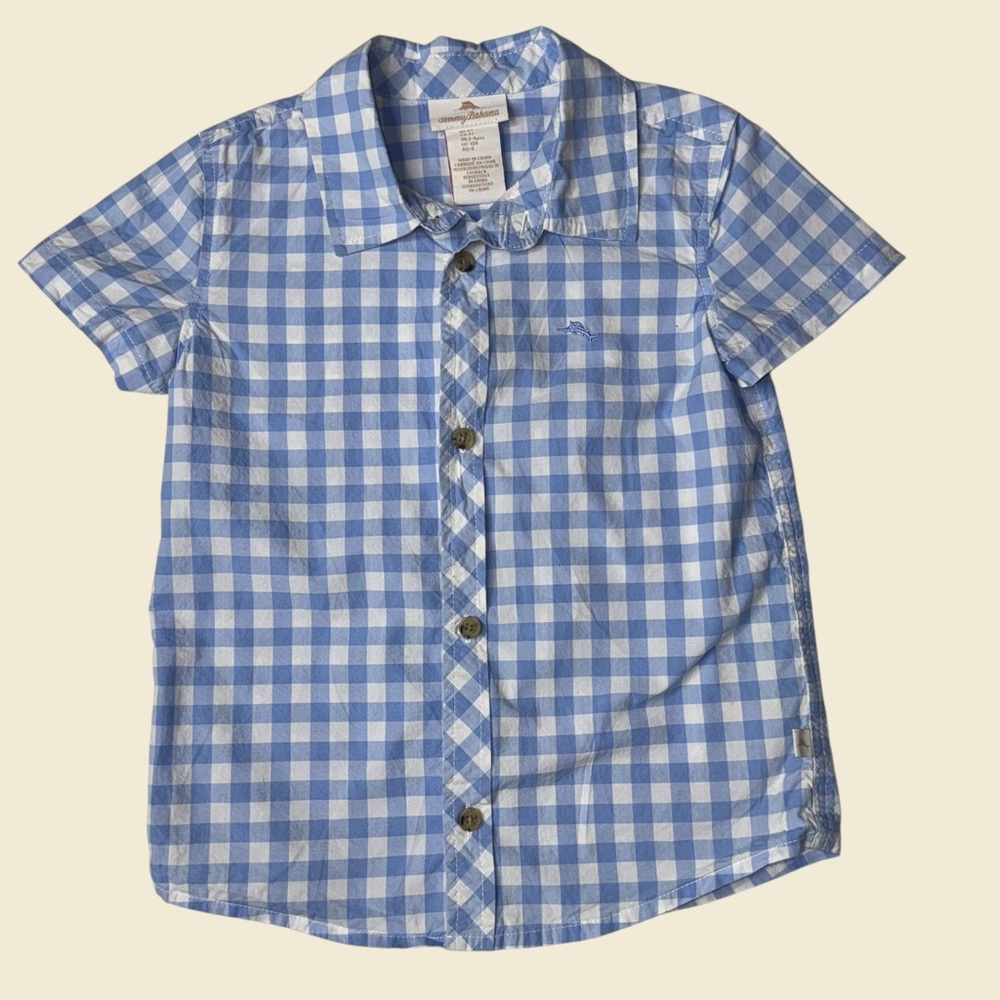 Tommy Hilfiger Kids Blue and White Plaid Shirt